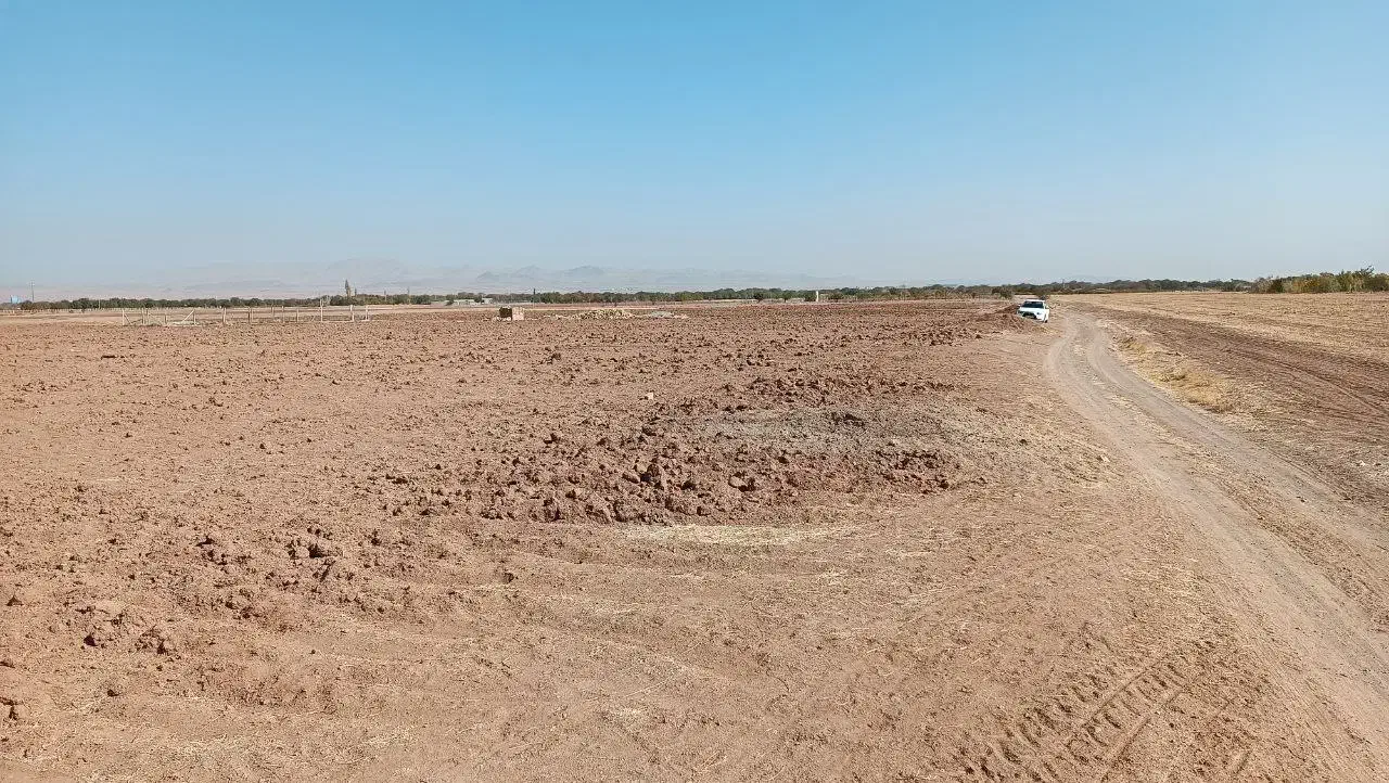 زمین کشاورزی با شرایط عالی در ضیاآباد قزوین|فروش دفتر صنعتی، کشاورزی، تجاری|ضیاء آباد, |دیوار