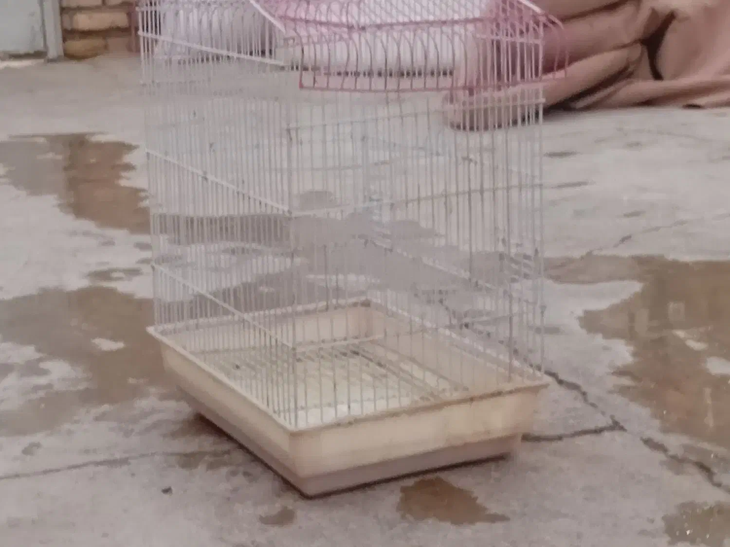 قفس پرنده سالم وخوب|لوازم جانبی حیوانات|سیب و سوران, |دیوار