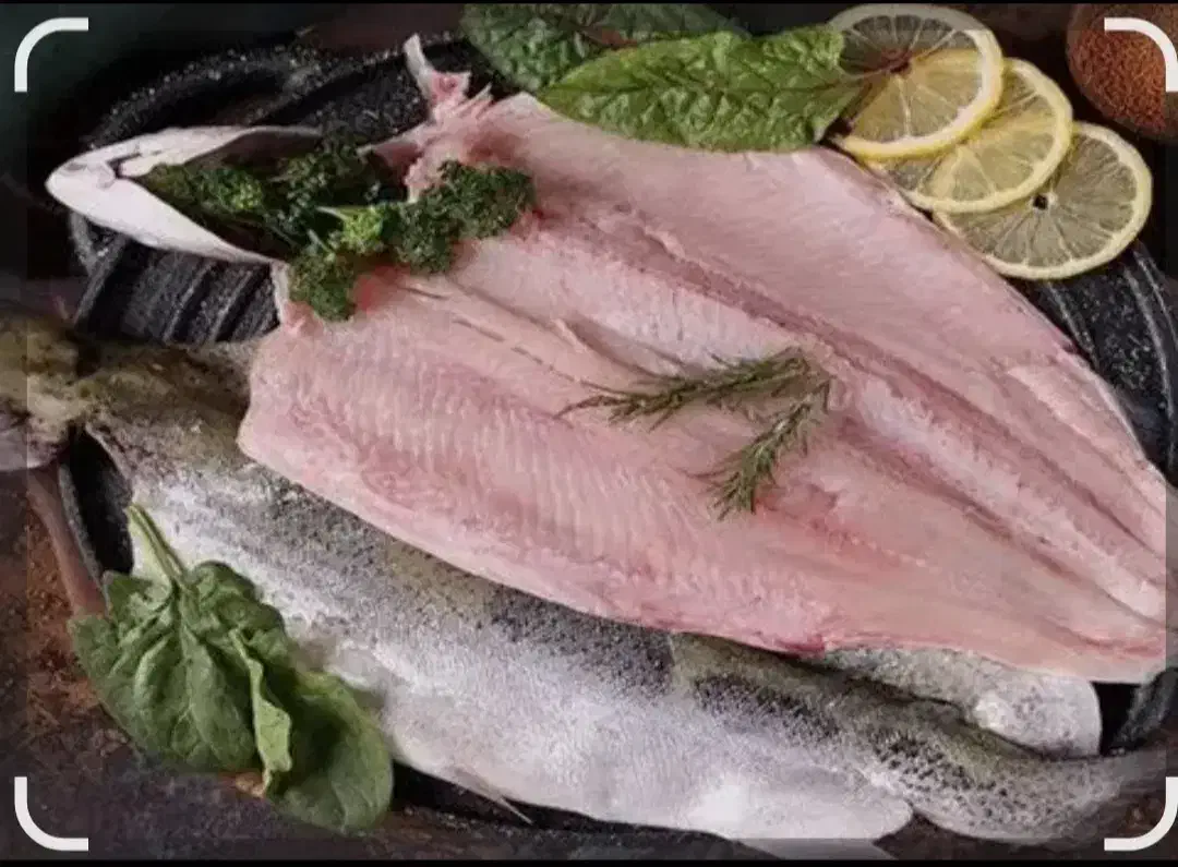 قزل آلا پاک کرده|ماهی|یاسوج, |دیوار