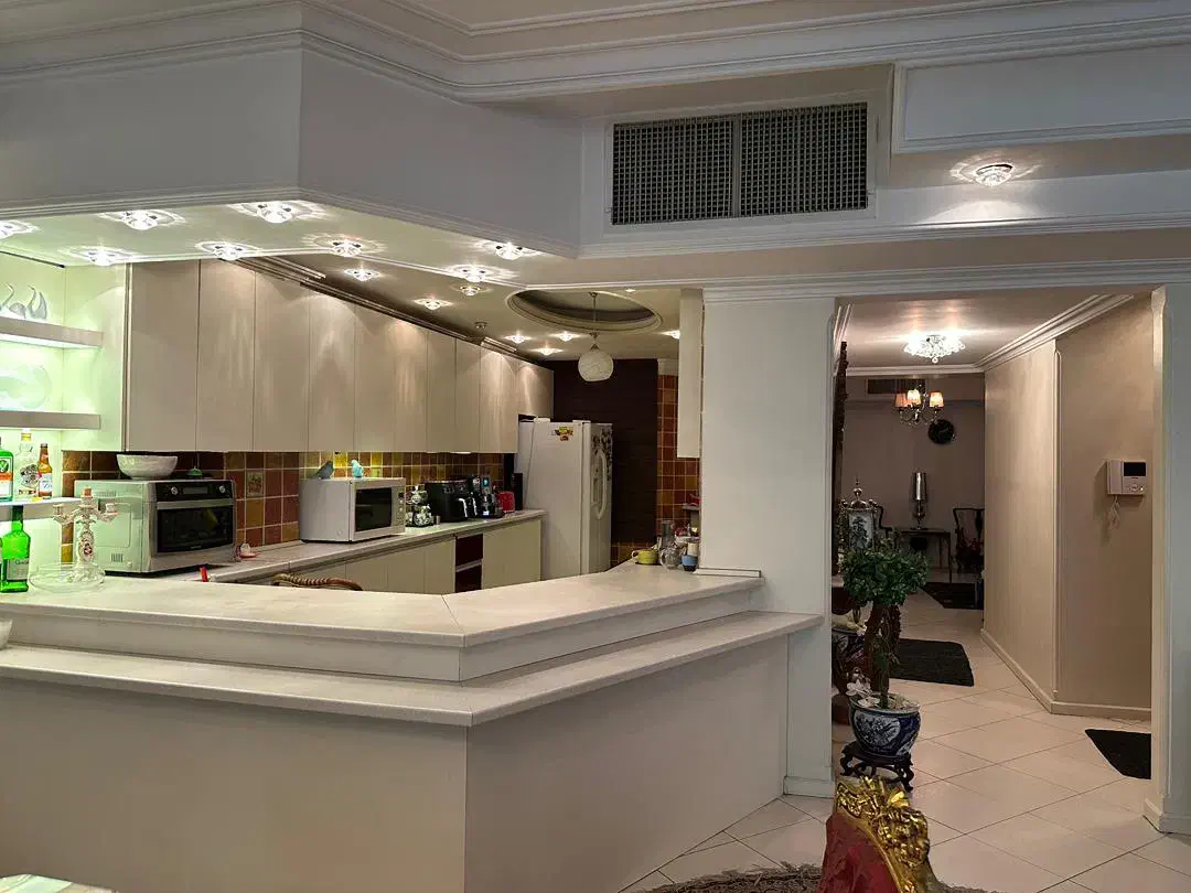 ۲۲۰ متر زعفرانیه/فرعی مرغوب آصف/شخصی ساز|فروش آپارتمان|تهران, زعفرانیه|دیوار