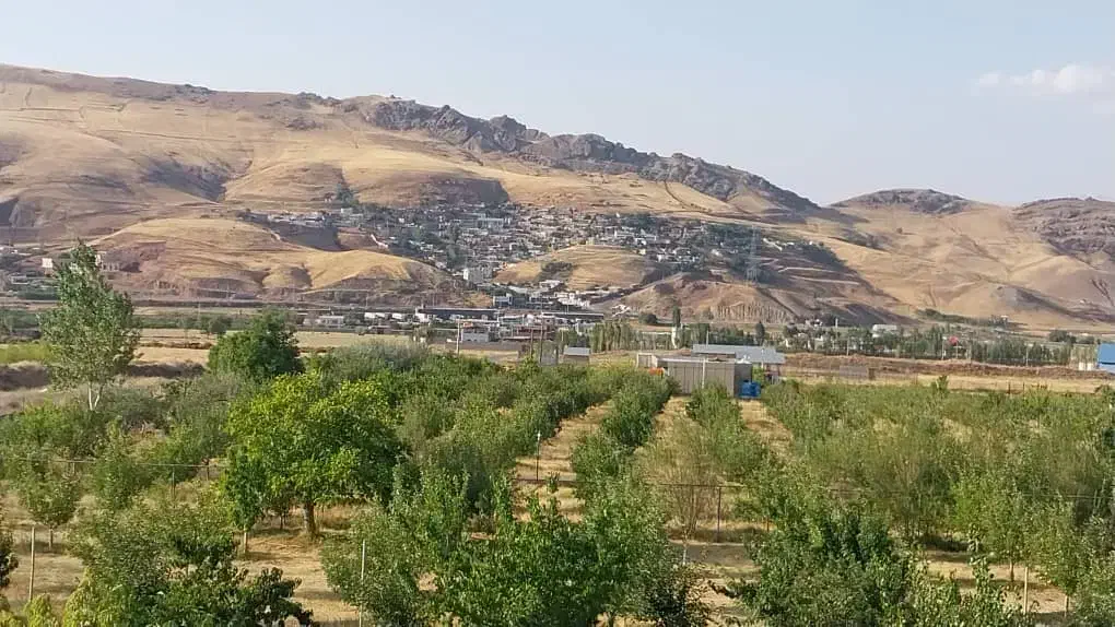 فروش دوقطعه باغ گیلاس|فروش زمین و ملک کلنگی|مرند, |دیوار