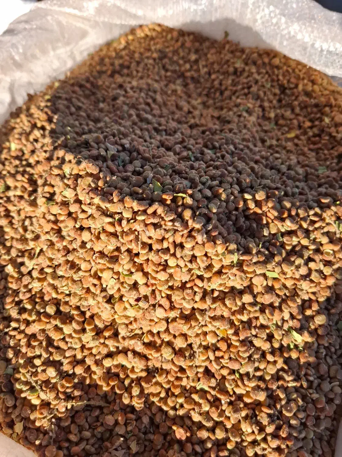 خریدو فروش انواع خشکبار سماق ،بادام،کتیرا،|خوردنی و آشامیدنی|بانه, |دیوار