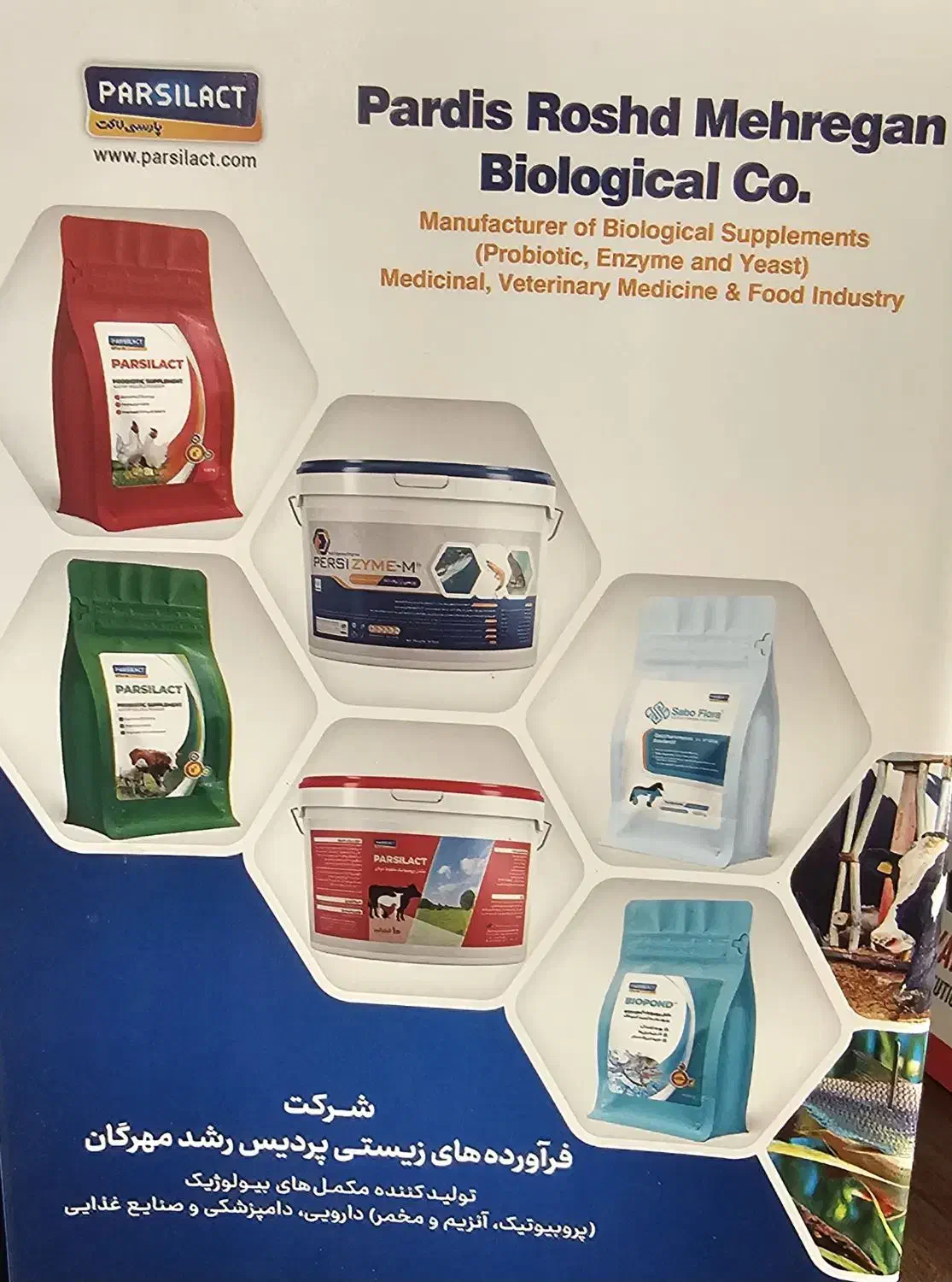 استخدام کارگر ساده|استخدام صنعتی، فنی، مهندسی|شیراز, شهرک صنعتی شیراز|دیوار