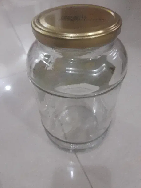 شیشه درهمه سایز|ظروف نگهدارنده، پلاستیکی، یک‌بارمصرف|یزد, |دیوار