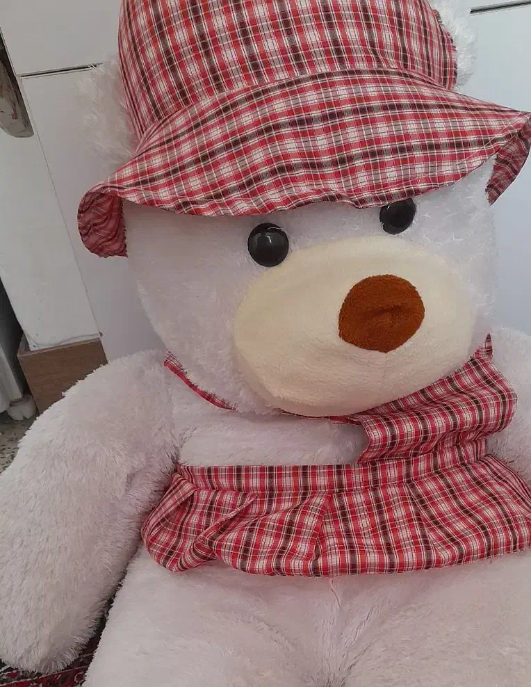 خرس بزرگ|اسباب‌بازی بچه|مهاجران, |دیوار