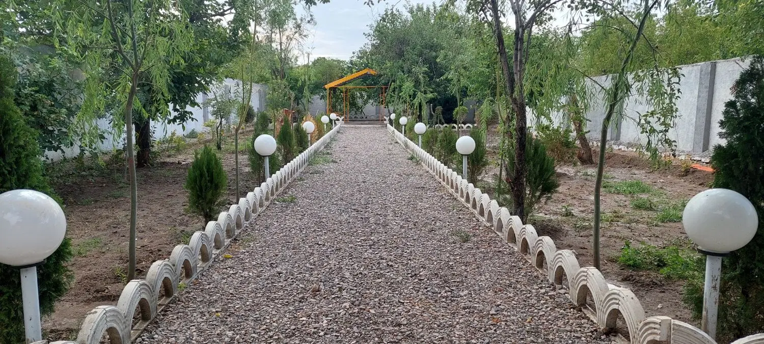 تصویر 19