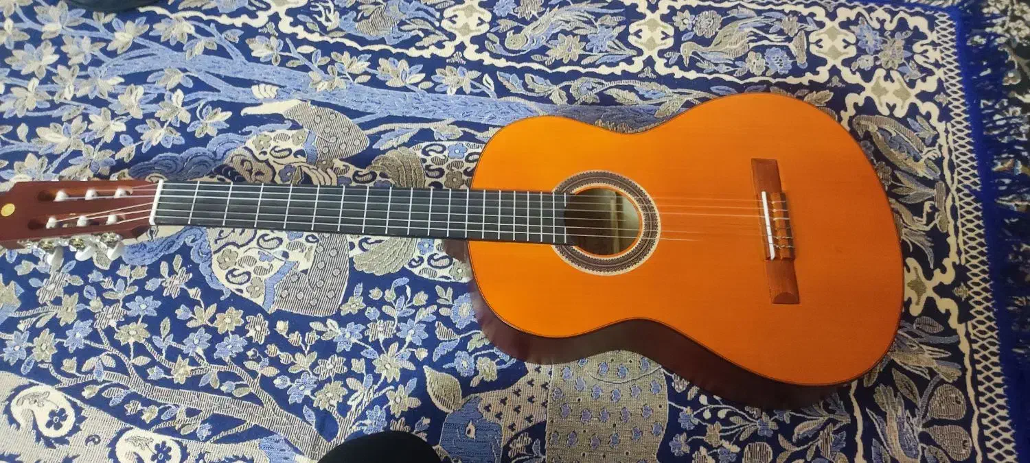 گیتار متاپور|گیتار، بیس، امپلیفایر|اسفراین, |دیوار