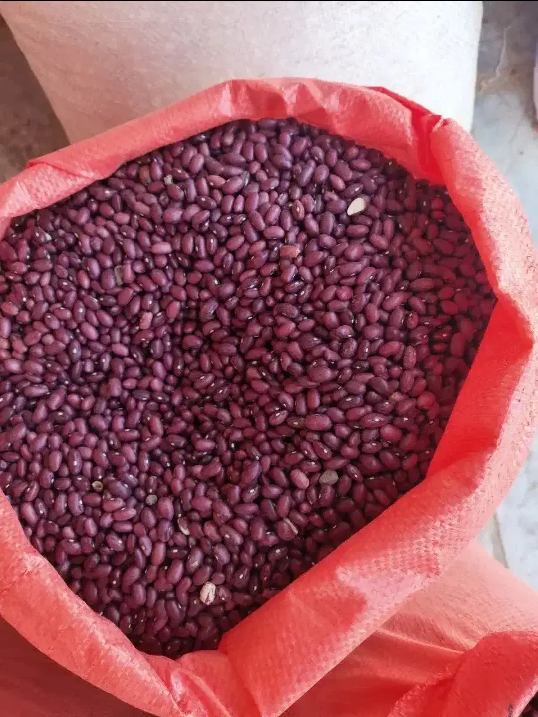 لوبیا قرمز دهگلان|عمده‌فروشی|دهگلان, |دیوار