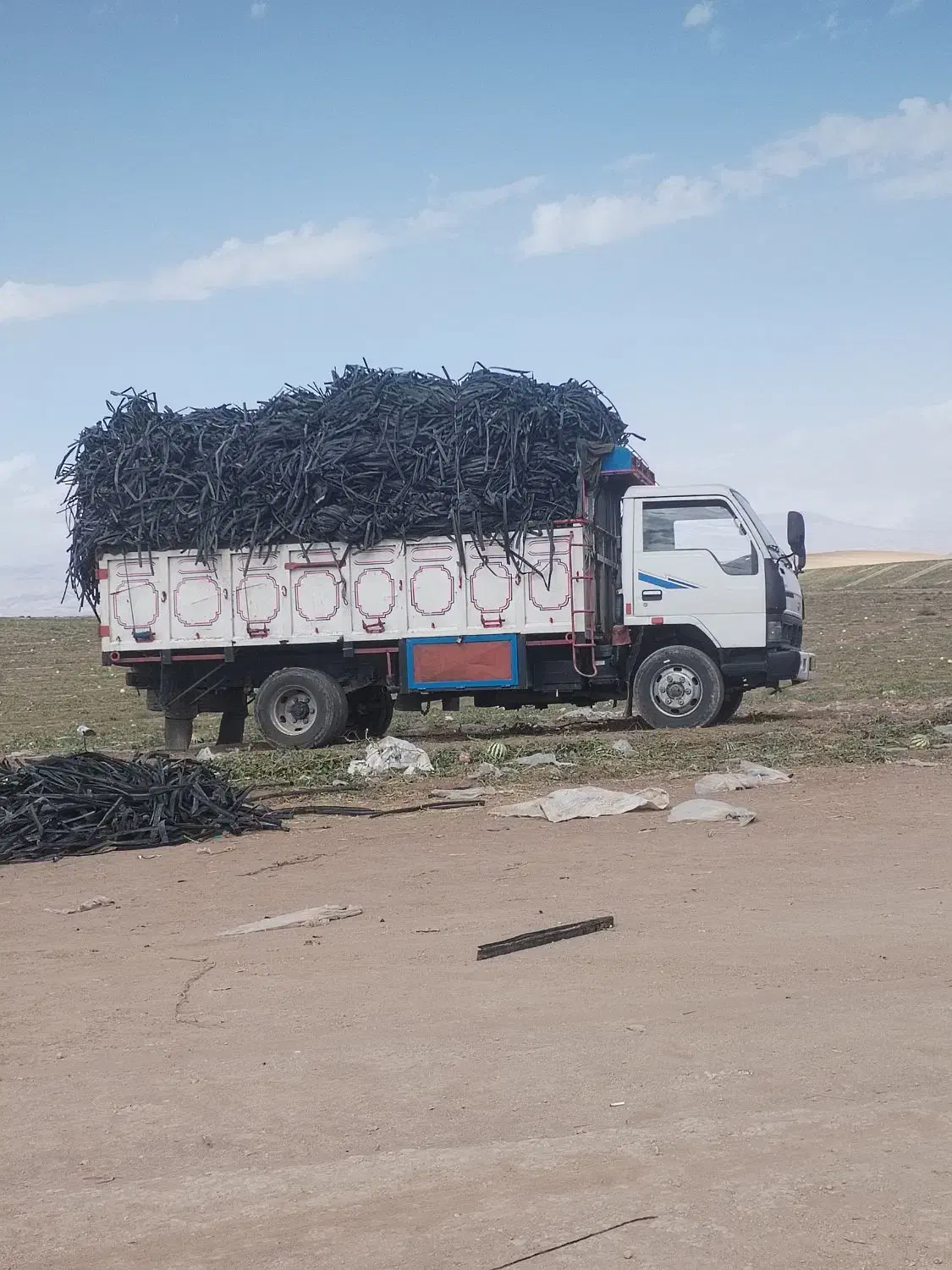 خرید و جمع آوری نوار تیپ (نوار قطره ای )|خدمات باغبانی و درختکاری|کرمانشاه, |دیوار