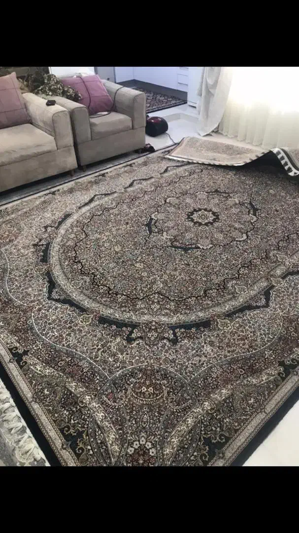 قرش|فرش|بندرعباس, |دیوار