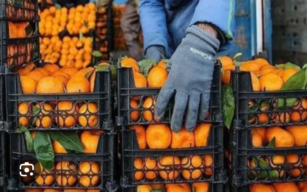 نیرو (با جای خواب)|استخدام خدمات فروشگاه و رستوران|ری, شهید بهشتی|دیوار