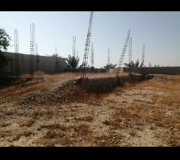 زمین|فروش زمین و ملک کلنگی|شبانکاره, |دیوار