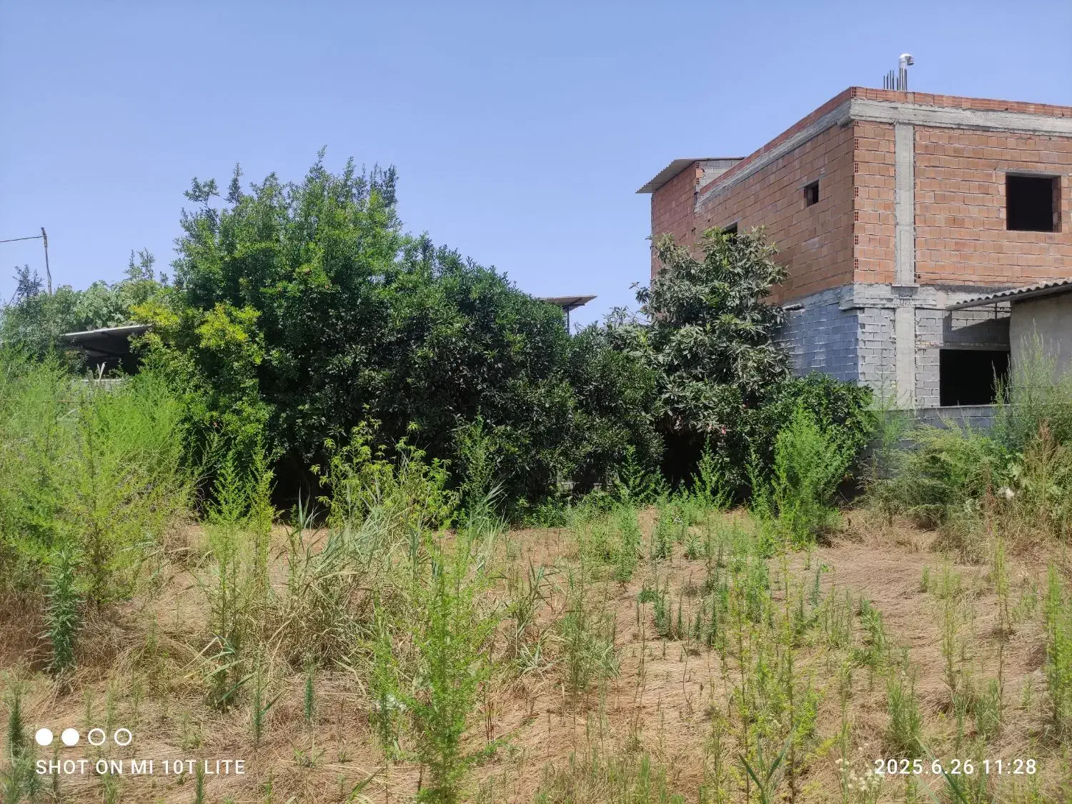 فروش زمین ۲۹۱ متری در بافت مسکونی|فروش زمین و ملک کلنگی|هادی شهر, |دیوار