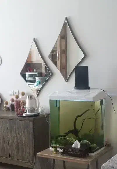 آینه|آینه|تهران, شمس‌آباد|دیوار