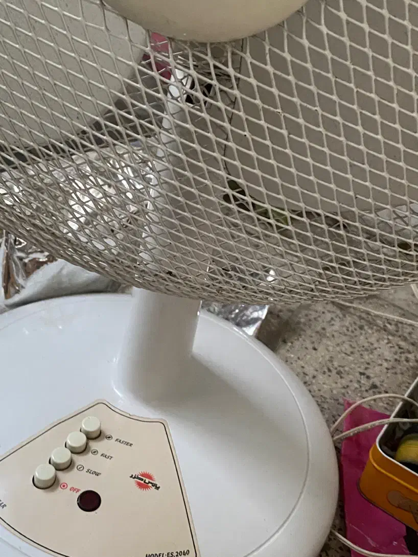 پنکه پارس خزر|پنکه و تصفیه‌کنندهٔ هوا|تهران, هاشمی|دیوار