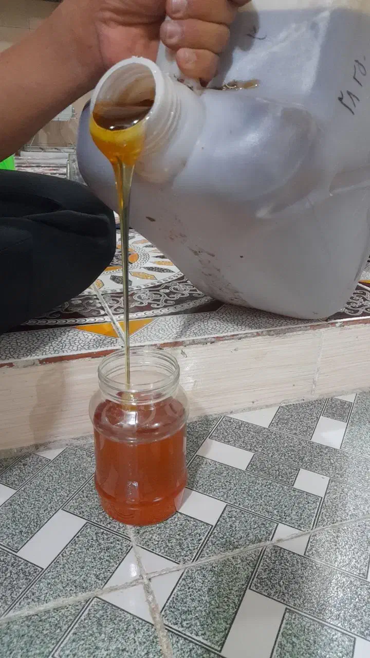 عسل کنار درجه یک|خوردنی و آشامیدنی|بوشهر, |دیوار