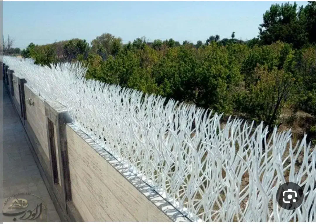 شاخ گوزنی. حفاظ روی دیوار. صنایع امنیتی ایمن ایذه|مصالح و تجهیزات ساختمان|ایذه, |دیوار
