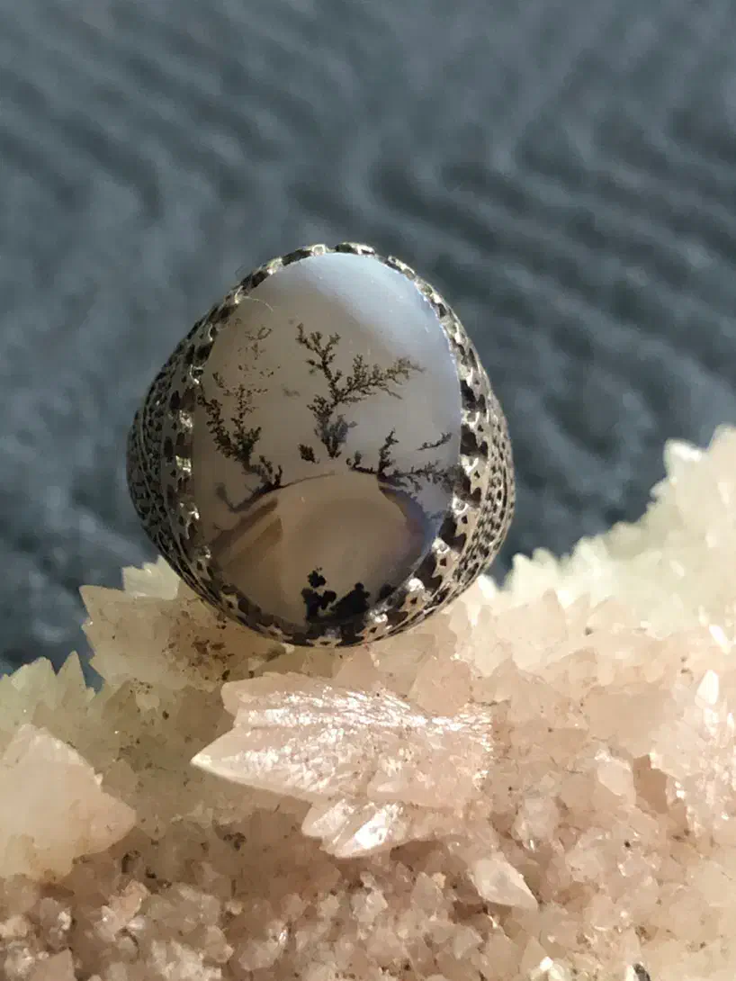 شجر قائنات قدیمی|کلکسیون اشیاء عتیقه|کرمان, |دیوار