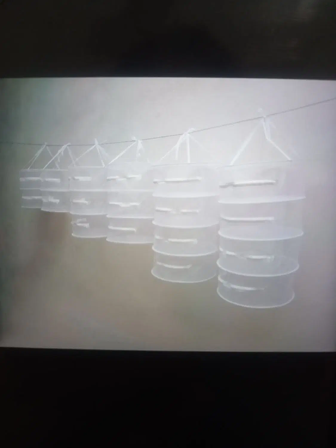 توری میوه خشک کن|ظروف نگهدارنده، پلاستیکی، یکبارمصرف|دیواندره, |دیوار