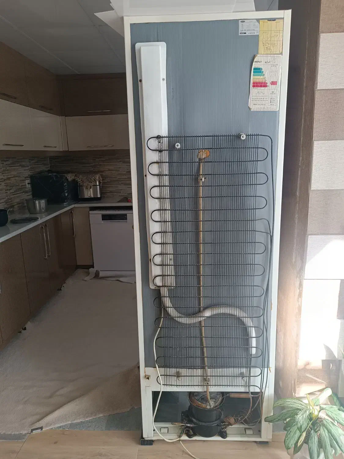 یخچال فریزر|یخچال و فریزر|دهگلان, |دیوار