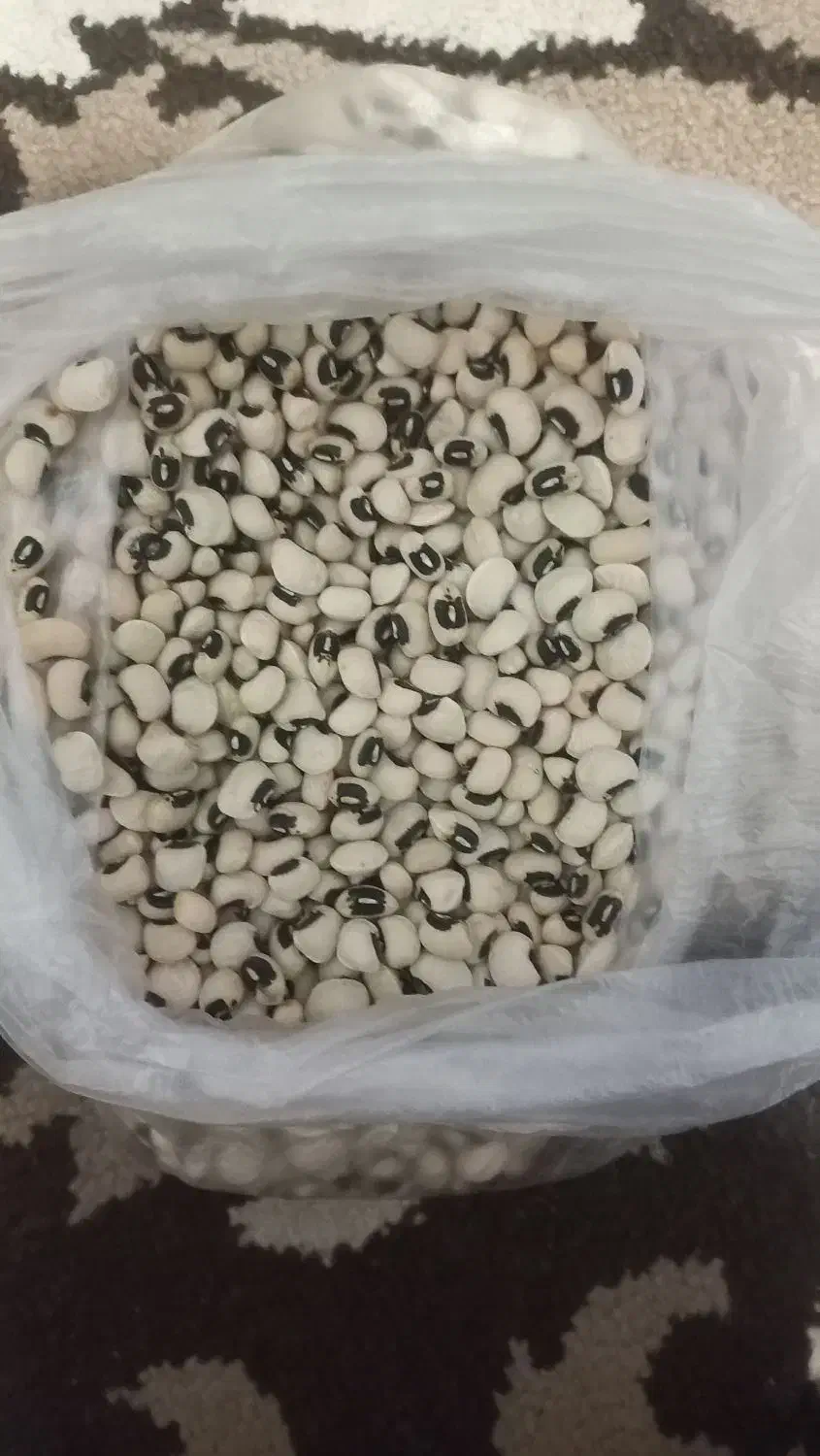 لوبیا چشم بلبلی|خوردنی و آشامیدنی|رشت, شهریاران|دیوار