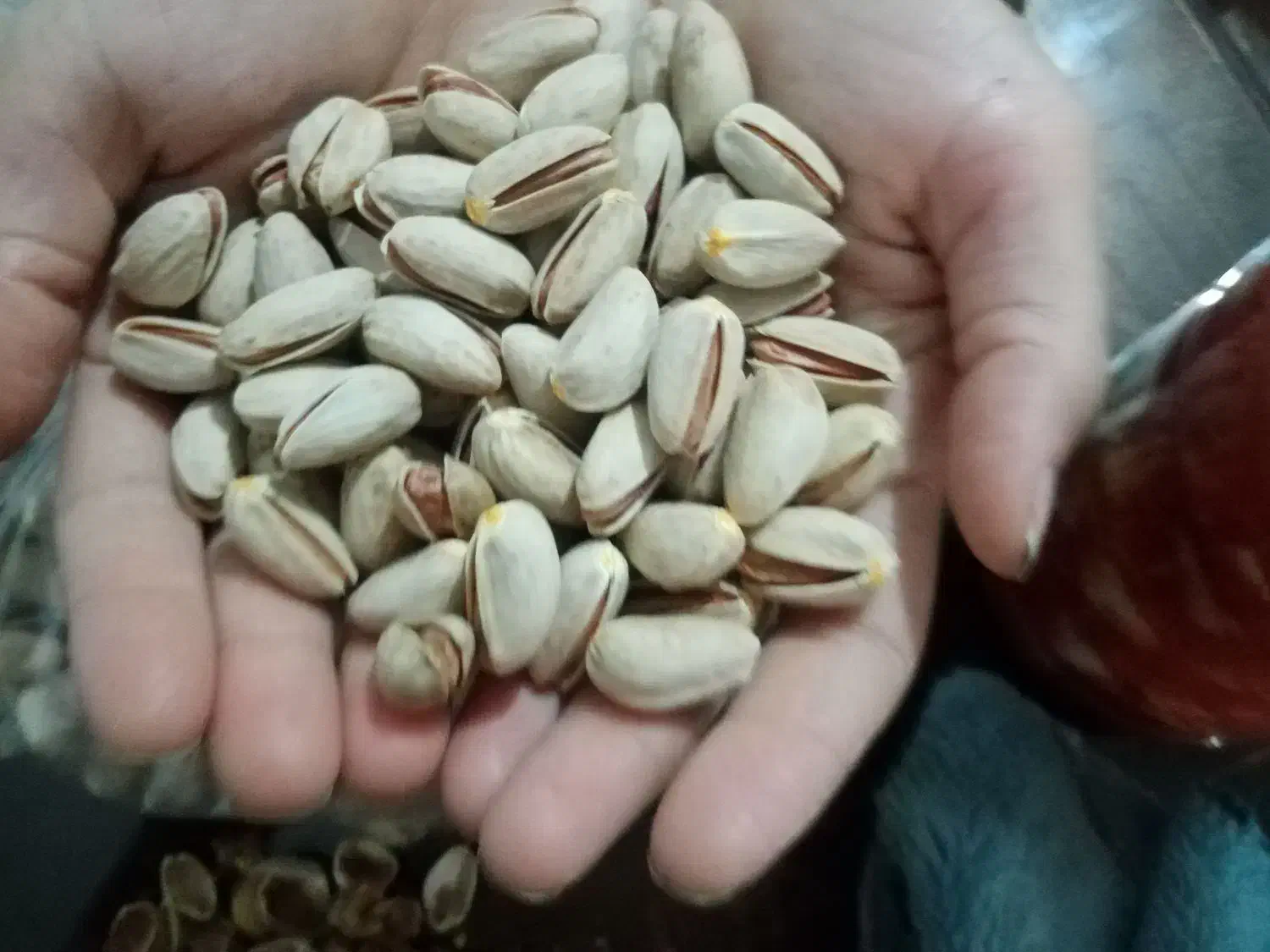 خشکبار|خوردنی و آشامیدنی|سرایان, |دیوار