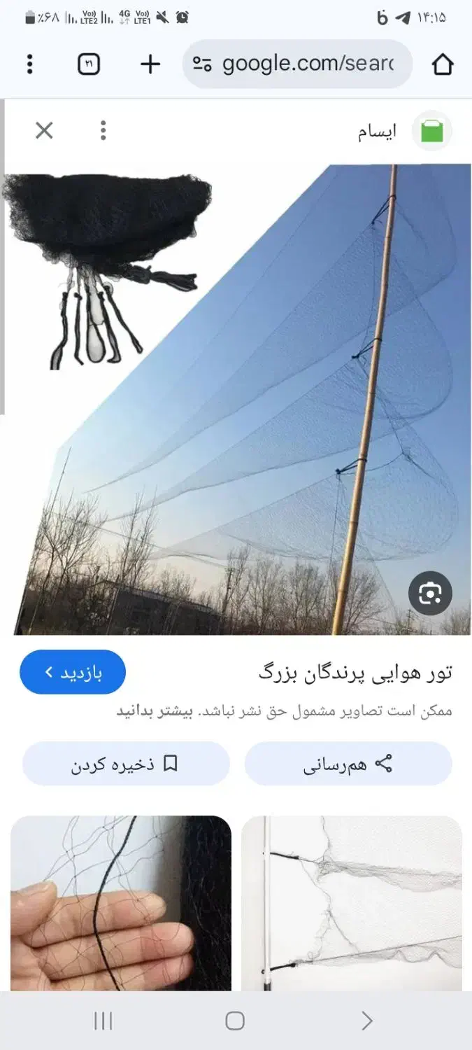 تور هوای سهره|پرنده|ساوه, |دیوار