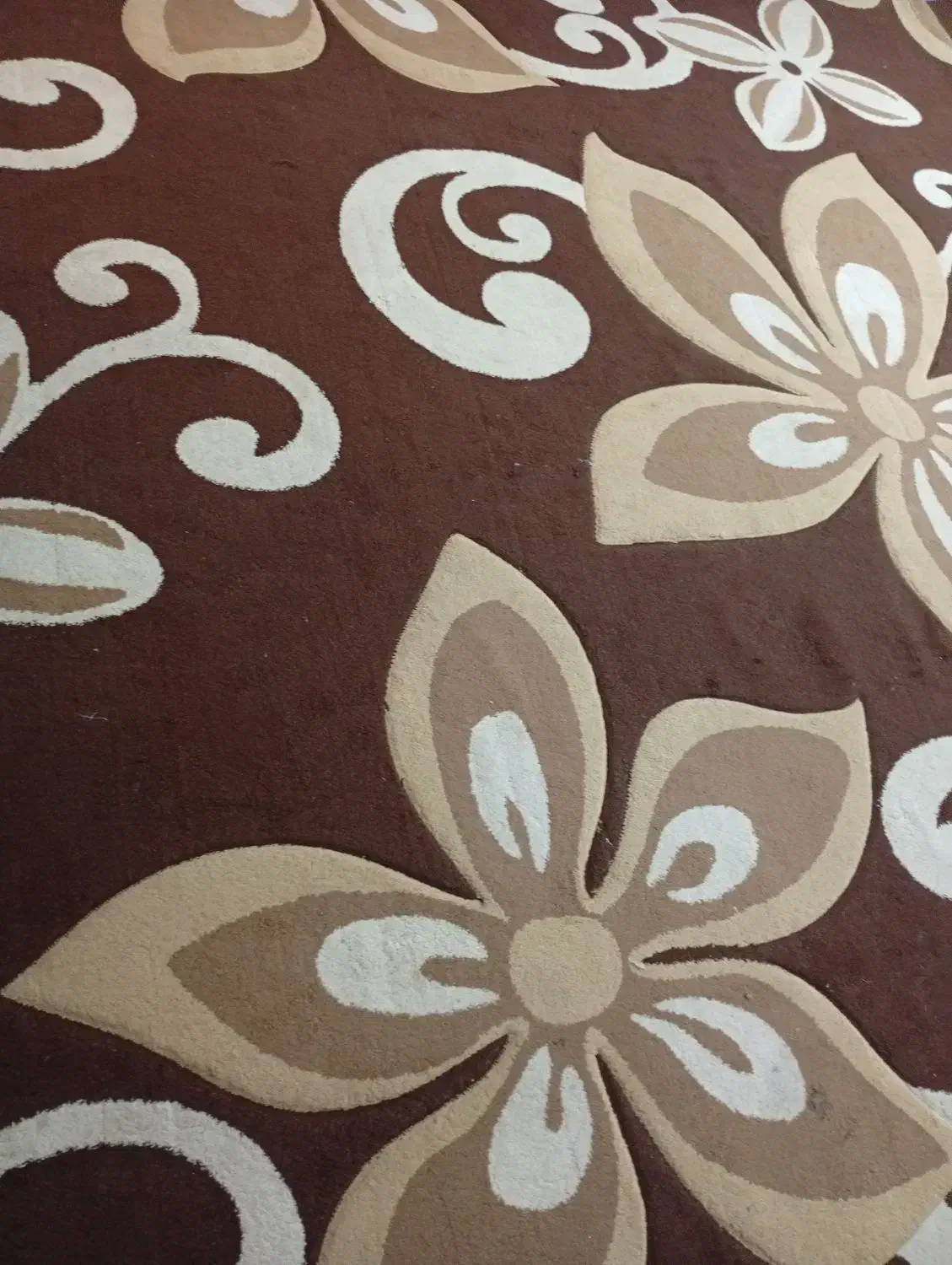 دوعدد گلیم فرش|فرش|بندر ماهشهر, |دیوار