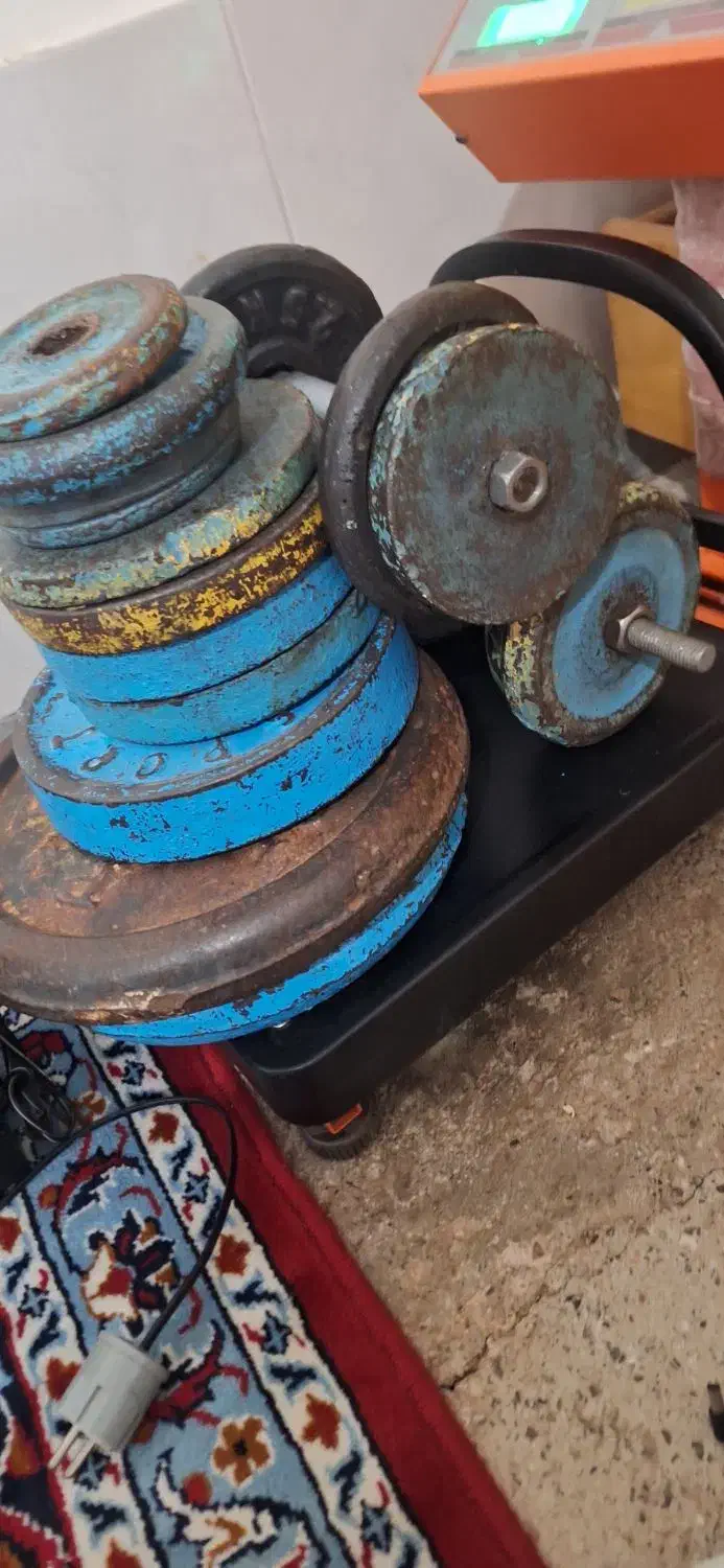 وزنه و دمبل و هالتر|تجهیزات ورزشی|صحنه, |دیوار