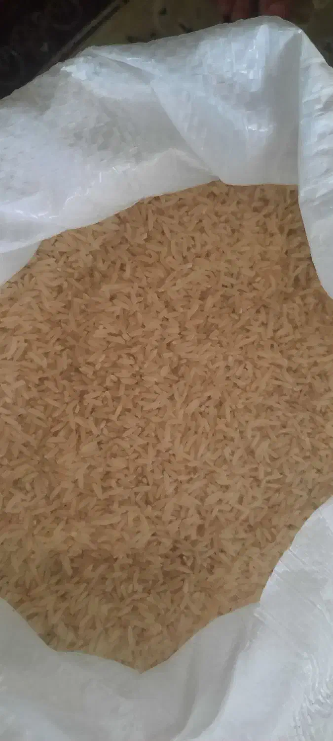 برنج طارم هاشمی|خوردنی و آشامیدنی|دوزین, |دیوار