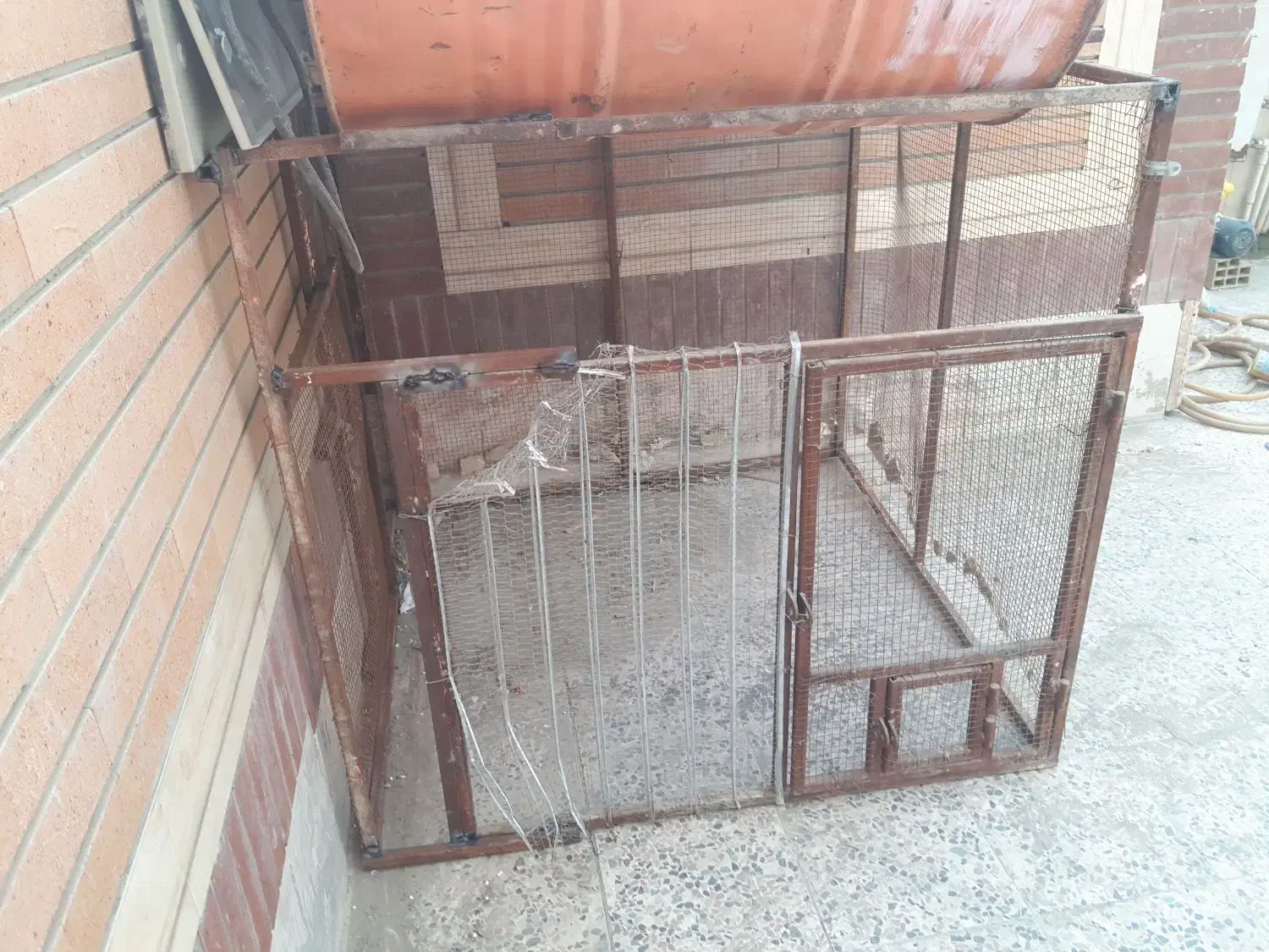 تور بزرگ برای پرنده|لوازم جانبی حیوانات|نیک شهر, |دیوار