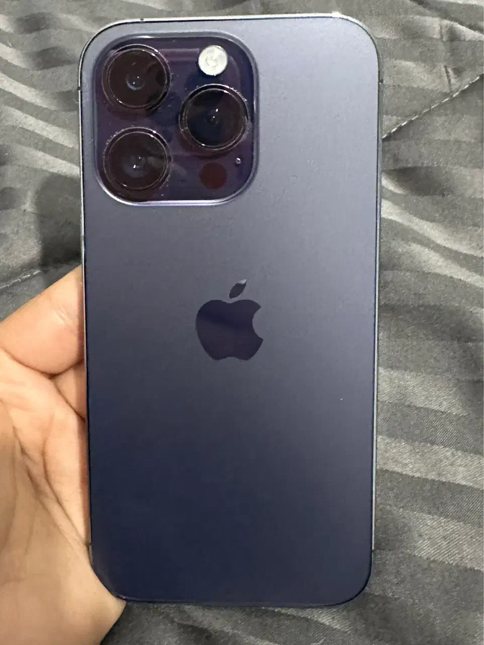 آیفون 14 پرو|موبایل|صدرا-فارس, فاز ۱|دیوار