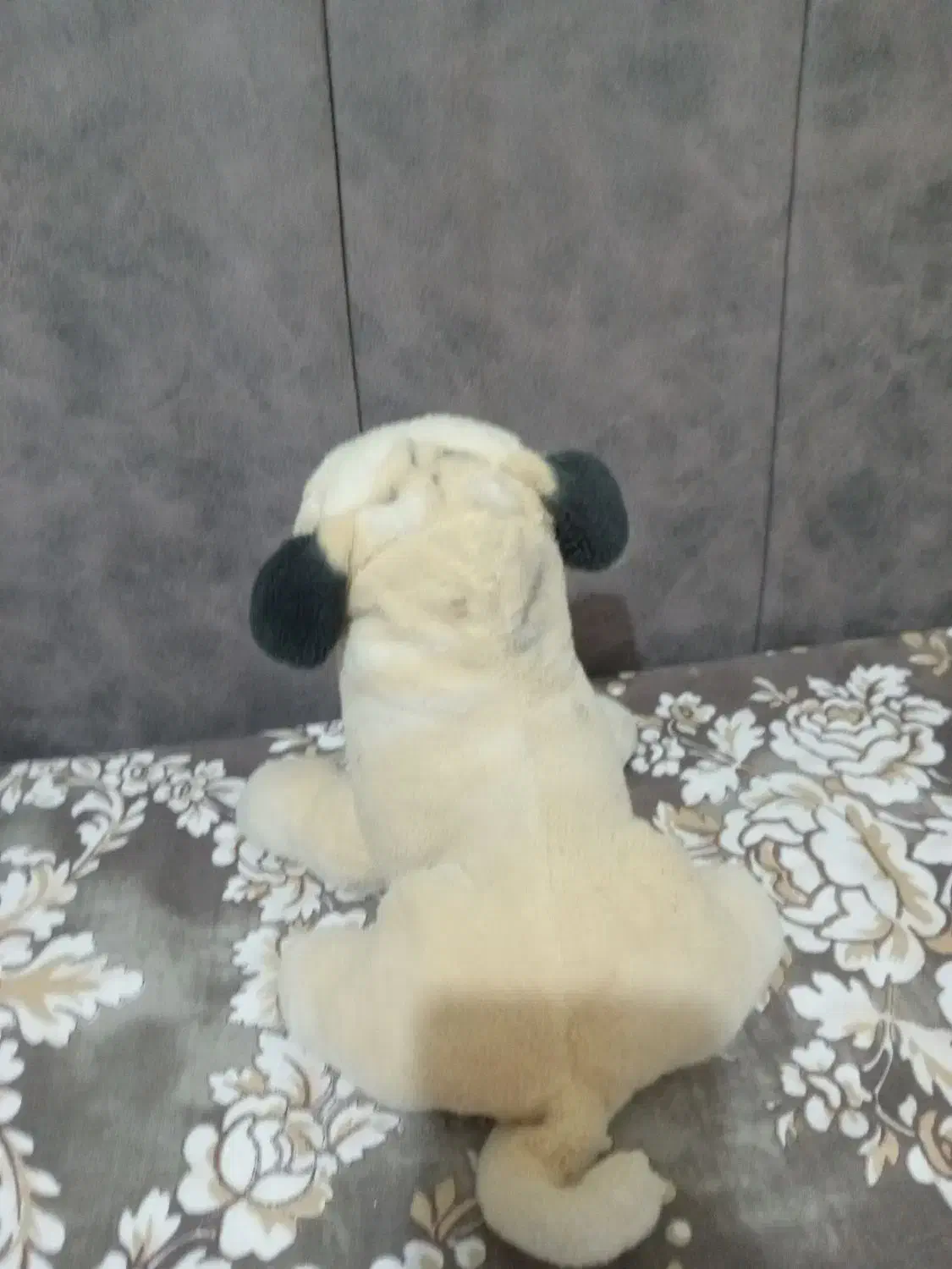 عروسک|اسباببازی بچه|گلبهار, شهر جدید گلبهار|دیوار