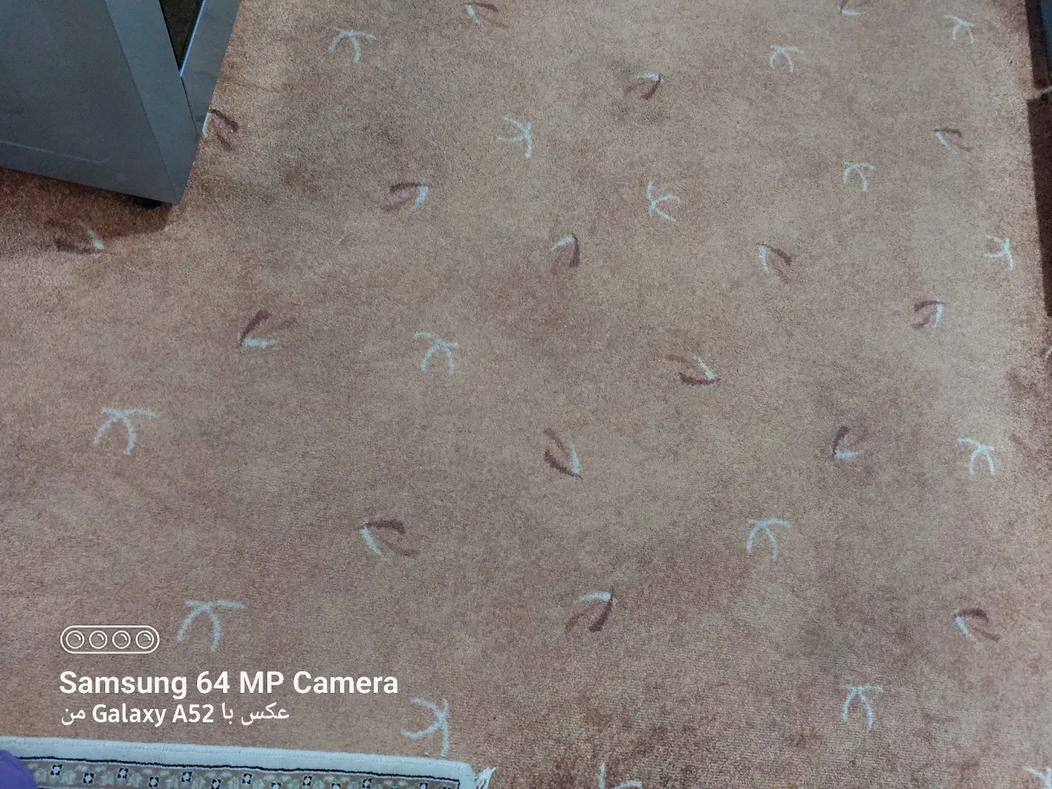 موکت|فرش|همدان, |دیوار