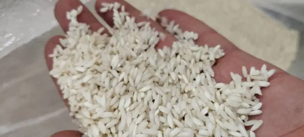 برنج نیم دانه عنبر خالص و سالم عنبر|خوردنی و آشامیدنی|کارون, |دیوار