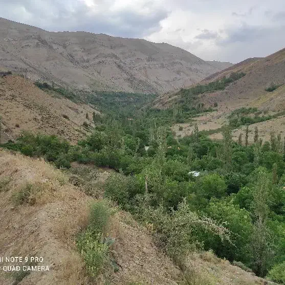 فروش باغ در جاده چالوس روستای زیبای مورود|فروش زمین و ملک کلنگی|آسارا, |دیوار