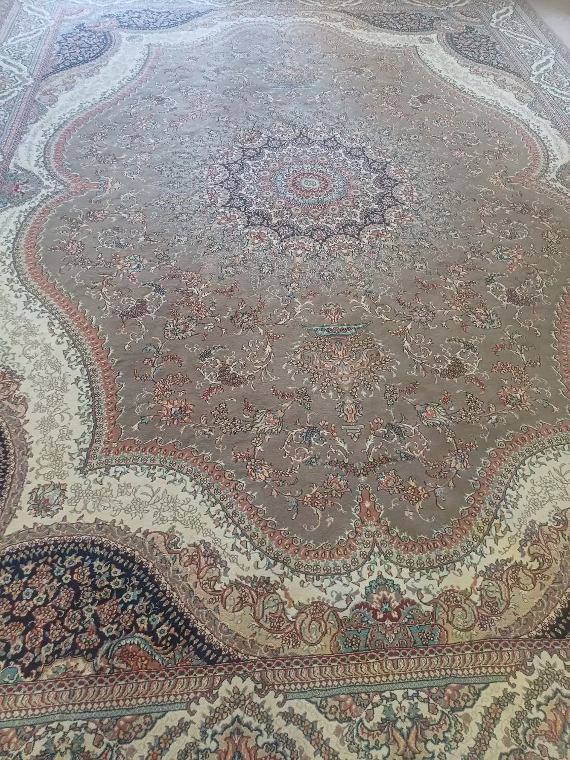 فرش ۱۲متری|فرش|کرمانشاه, |دیوار