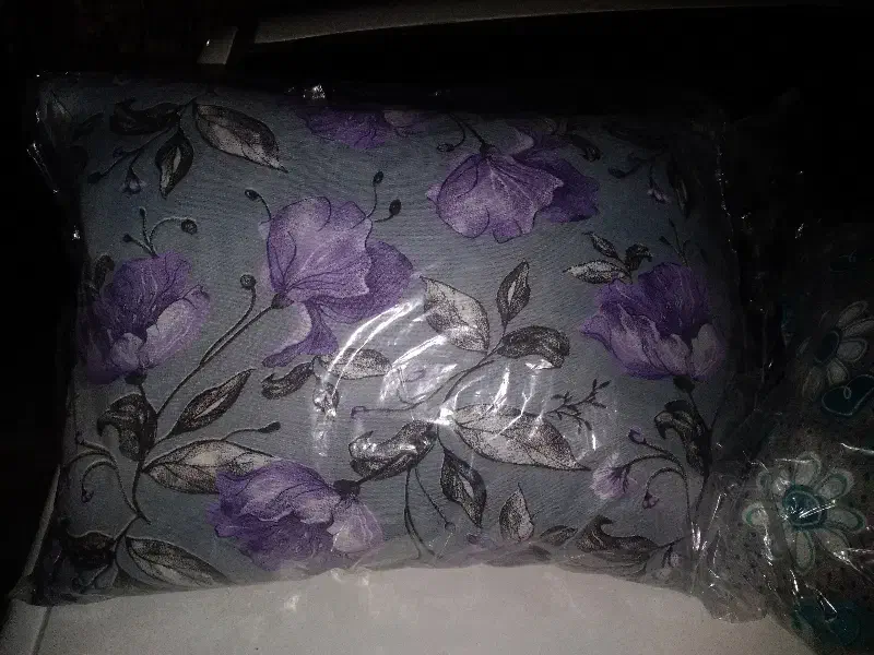 بالشت|رختخواب، بالش، پتو|زابل, |دیوار