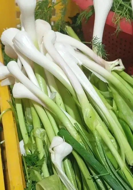 محصولات خانگی عمه لیلا|خوردنی و آشامیدنی|محمدشهر, ولدآباد|دیوار