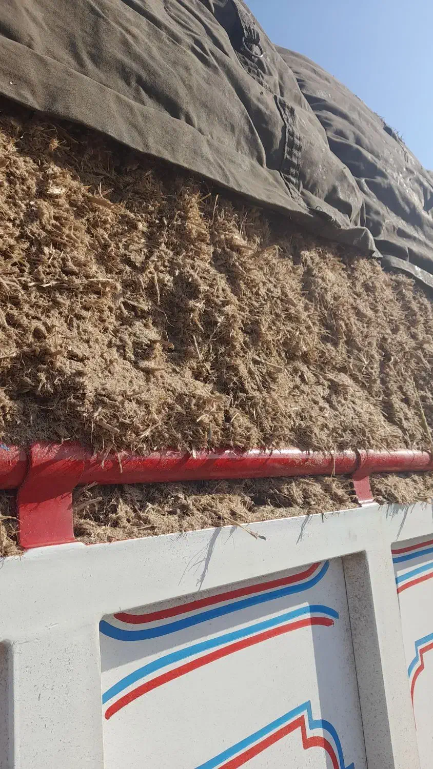 کاه نیشکر|حیوانات مزرعه|ملایر, |دیوار