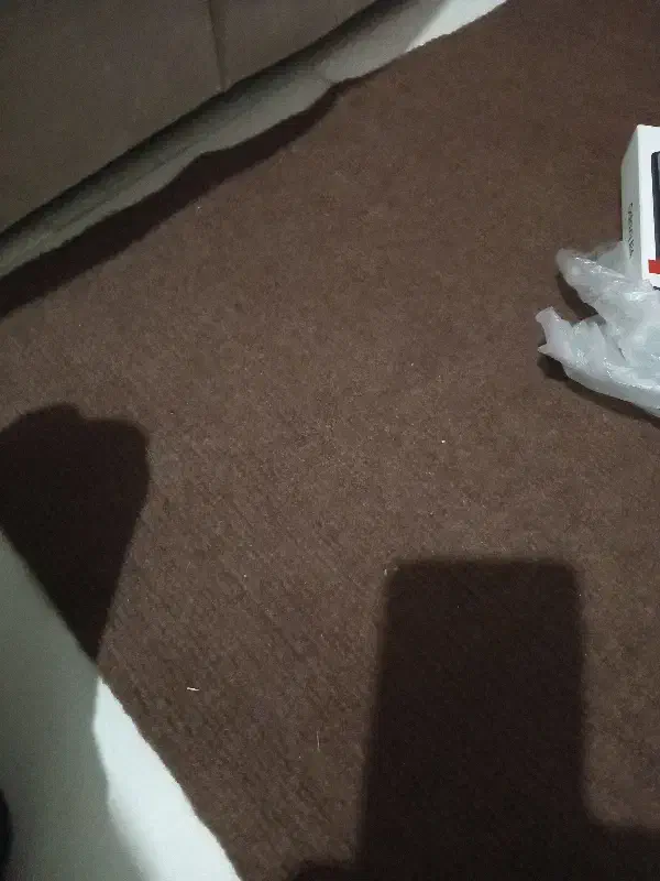 گم شده|اشیا|قزوین, |دیوار