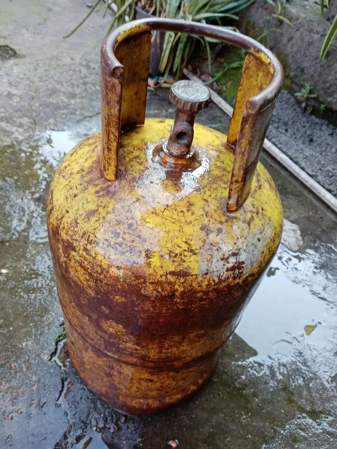 یک عدد کپسول گاز|اجاق گاز و لوازم برقی پخت‌وپز|چالوس, |دیوار