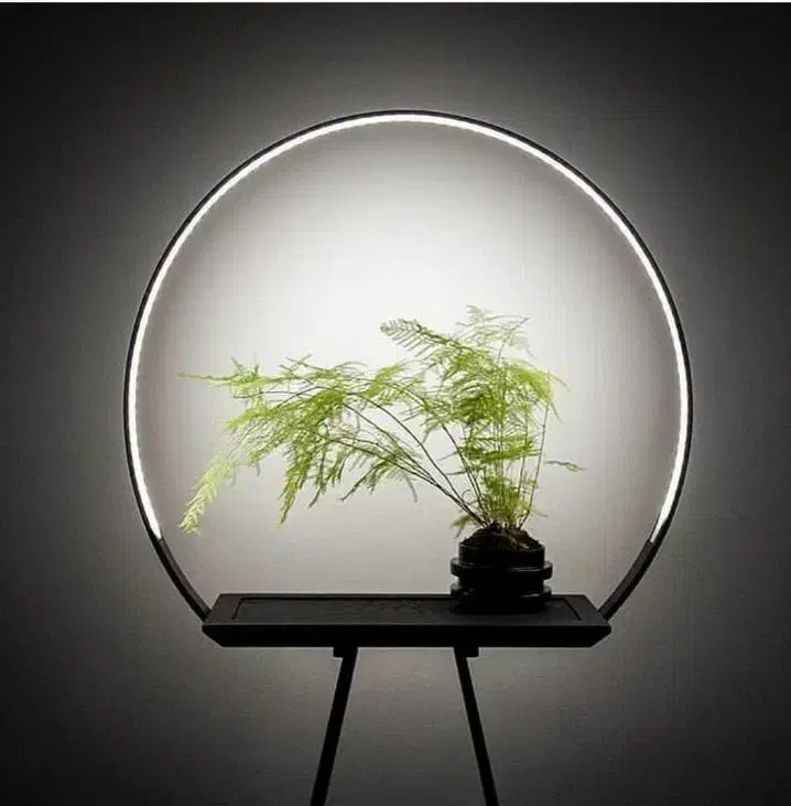 نصب کاغذ دیواری|خدمات پیشه و مهارت|کرمانشاه, |دیوار