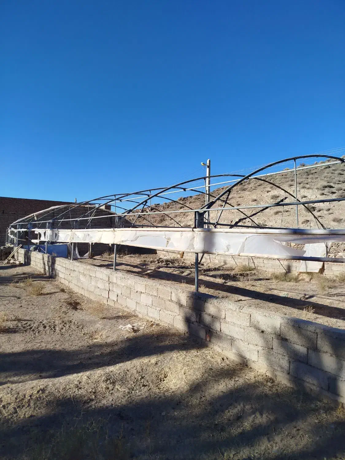 گلخانه فروشی|فروش دفتر صنعتی، کشاورزی، تجاری|زاهدان, |دیوار