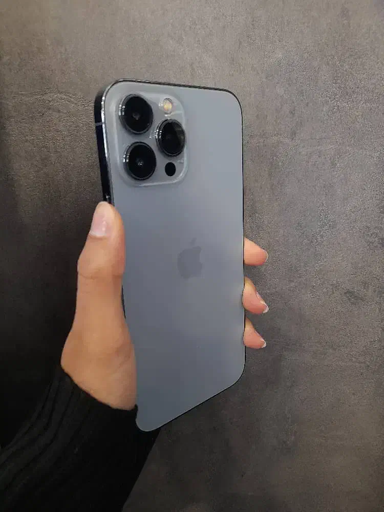 13 Promax ده میلیونی با طلا|موبایل|مشهد, بهشت|دیوار