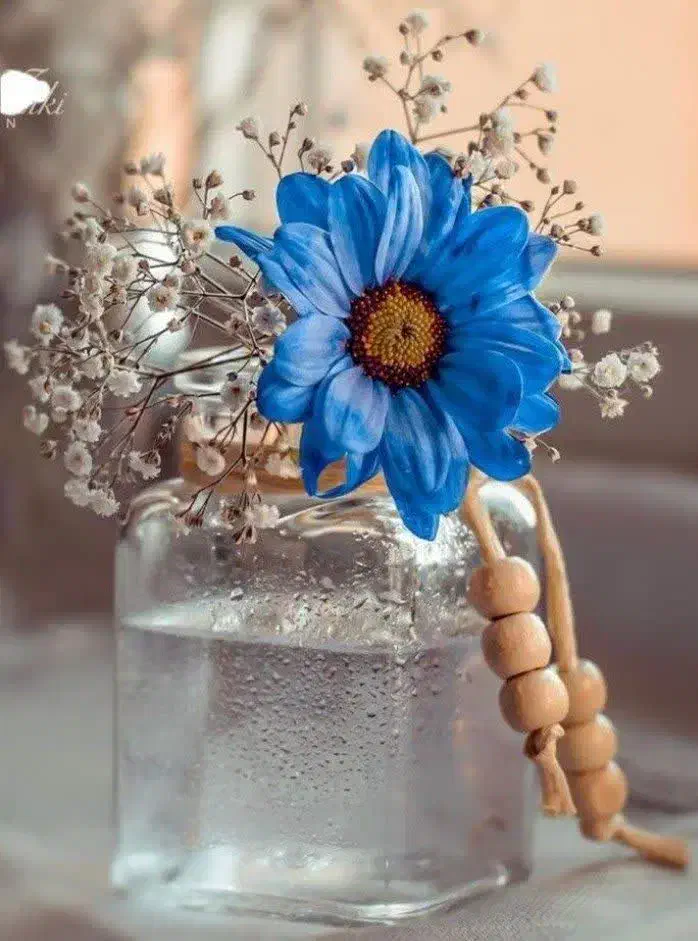 ذکر اسم از قران و ذکر ماه تولد|خدمات پذیرایی، مراسم|ری, دولتآباد|دیوار