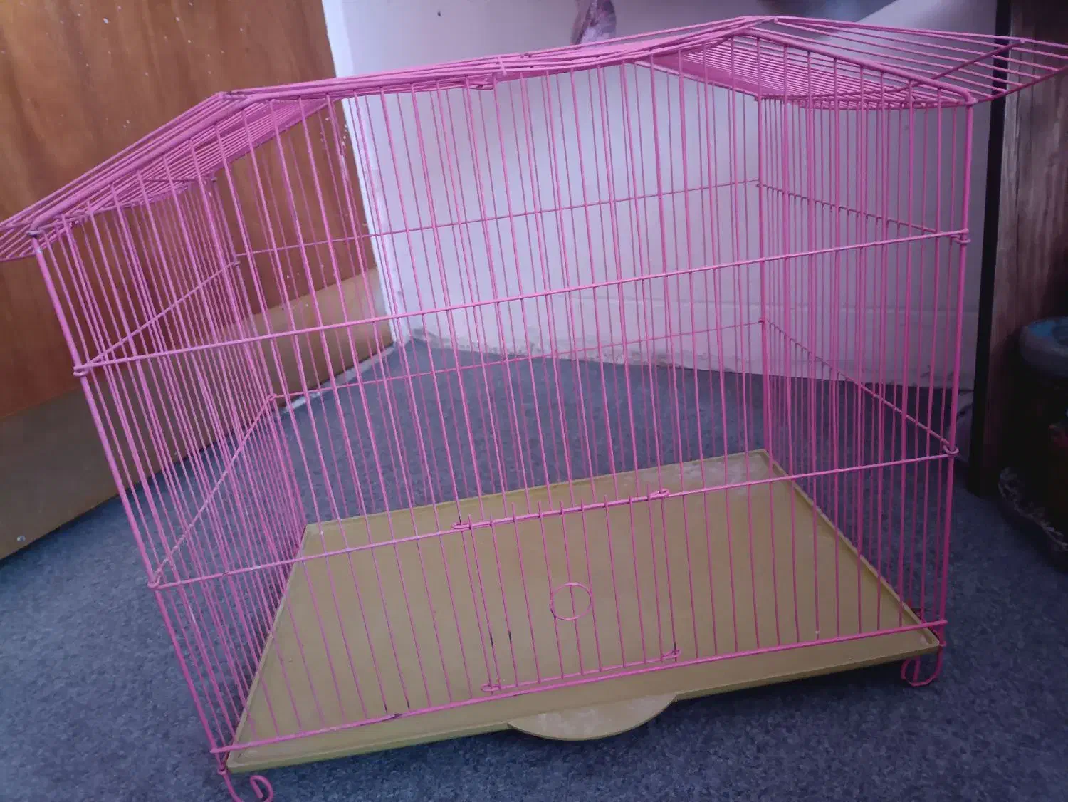 قفس پرنده|لوازم جانبی حیوانات|شیراز, گلشن|دیوار