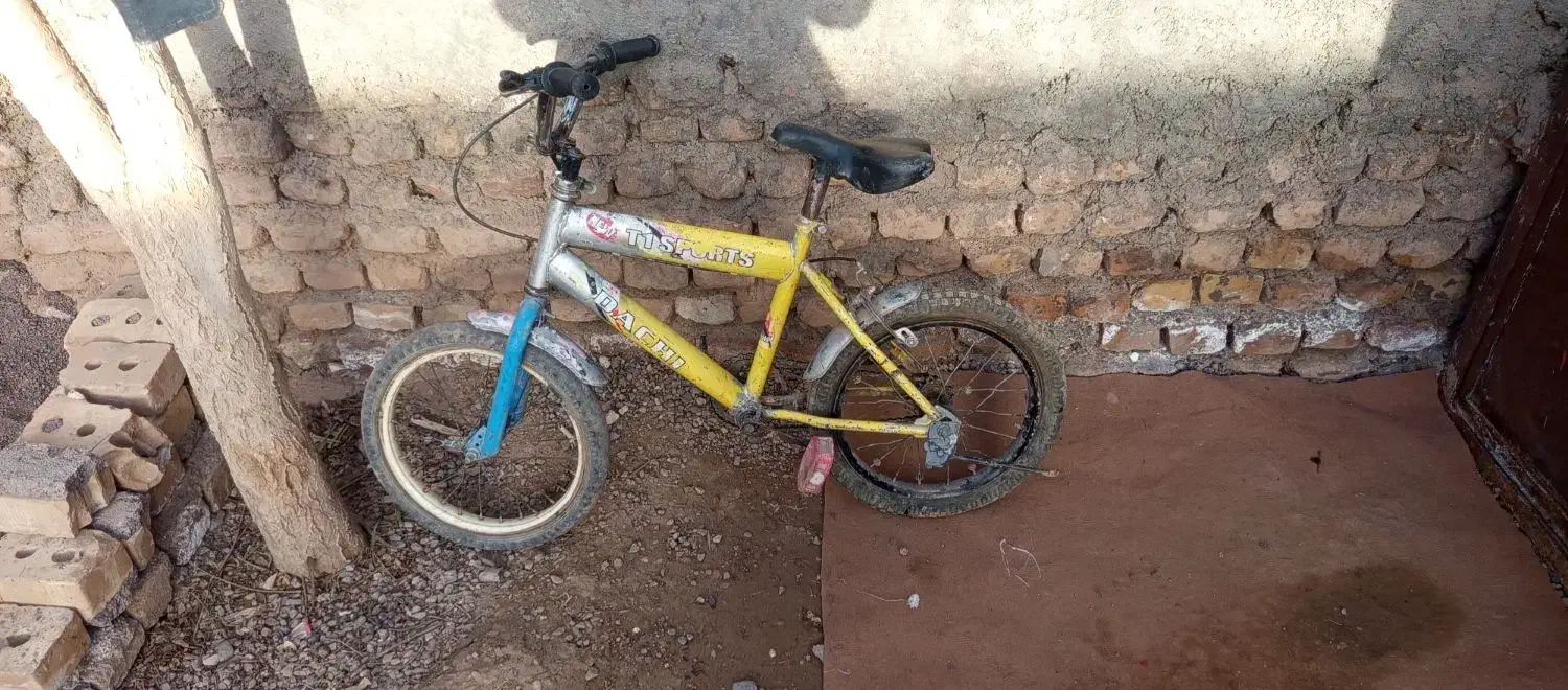 چرخ|دوچرخه، اسکیت، اسکوتر|تربت جام, جامی|دیوار