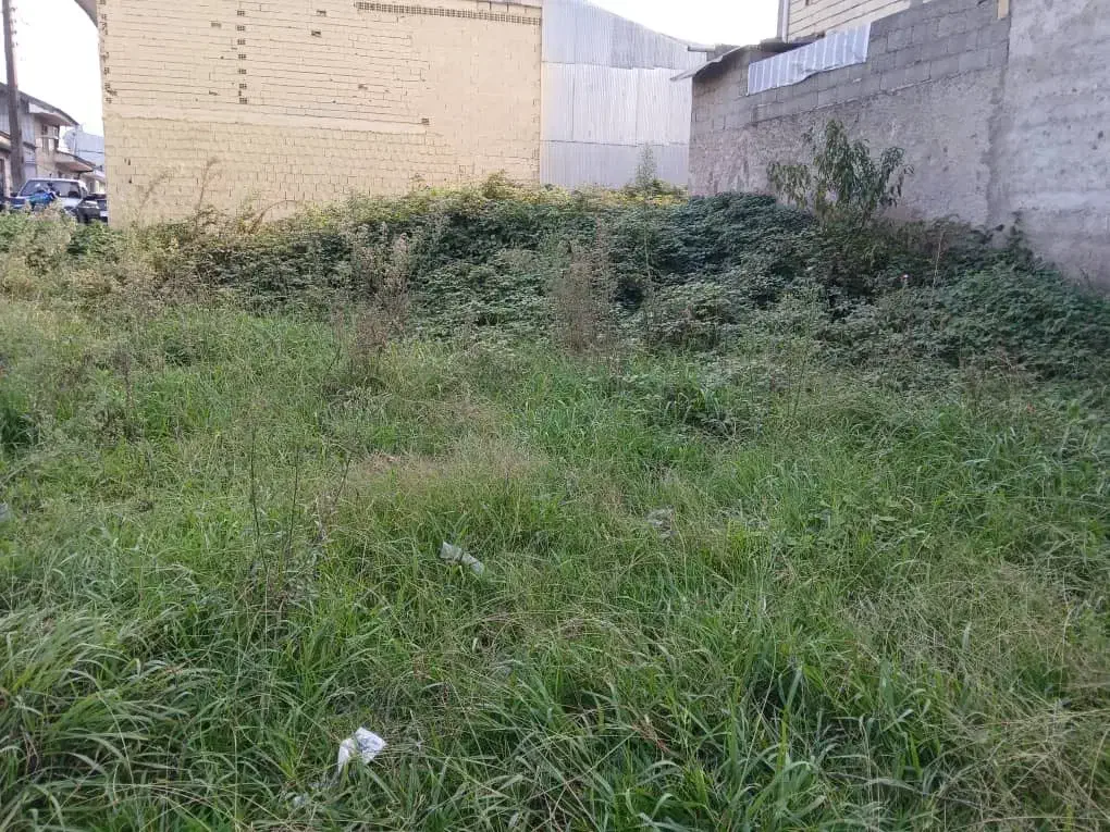 فروشی|فروش زمین و ملک کلنگی|رشت, حافظ آباد|دیوار