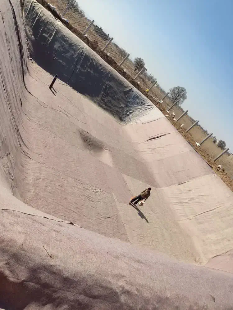 اجرای استخر کشاورزی و پرورش ماهی ژئوممبران|خدمات پیشه و مهارت|ملایر, |دیوار